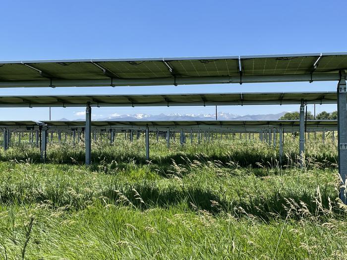 Grün gewinnt im Paneel-Schatten