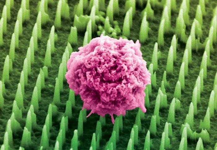 Nano-Nadelpatch macht viele OPs überflüssig