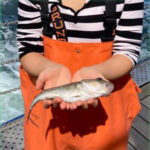 Forscherin präsentiert kleinen Dorsch auf Ostsee-Fangschiff.