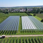 Agri-PV-Anlage auf einem Acker