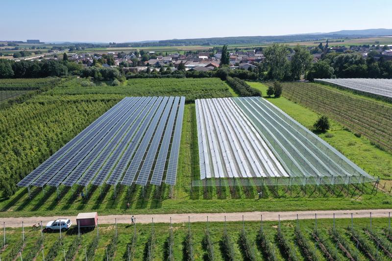 Solar auf dem Acker als große Chance