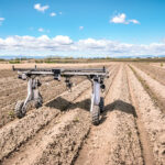 Aigen's solar-powered Element gen2 robot navigates between rows of cotton at Bowles Farming Company in California's Central Valley. The farm-tough design features a wider, taller frame and enhanced solar panel that powers the robot's AI-driven weed control system, eliminating herbicide-resistant weeds without chemicals while handling real farm conditions.