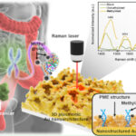 ILLUSTRATION OF THE HIGH-SENSITIVITY DETECTION OF TRACE AMOUNTS OF CANCER DNA IN BLOOD AND ITS ANALYSIS USING AN AI-BASED METHOD.