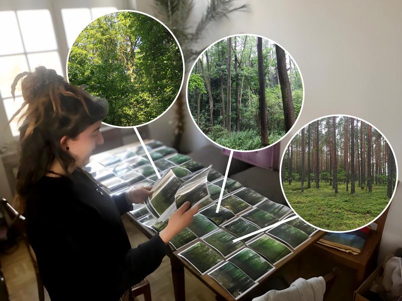 Wie Menschen Biodiversität tatsächlich wahrnehmen