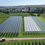 Future Flow Podcast_AgriPhotovoltaik