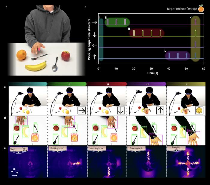 Fühlen ohne Grenzen: flexible Hautsensoren verbinden virtuelle und reale Welt