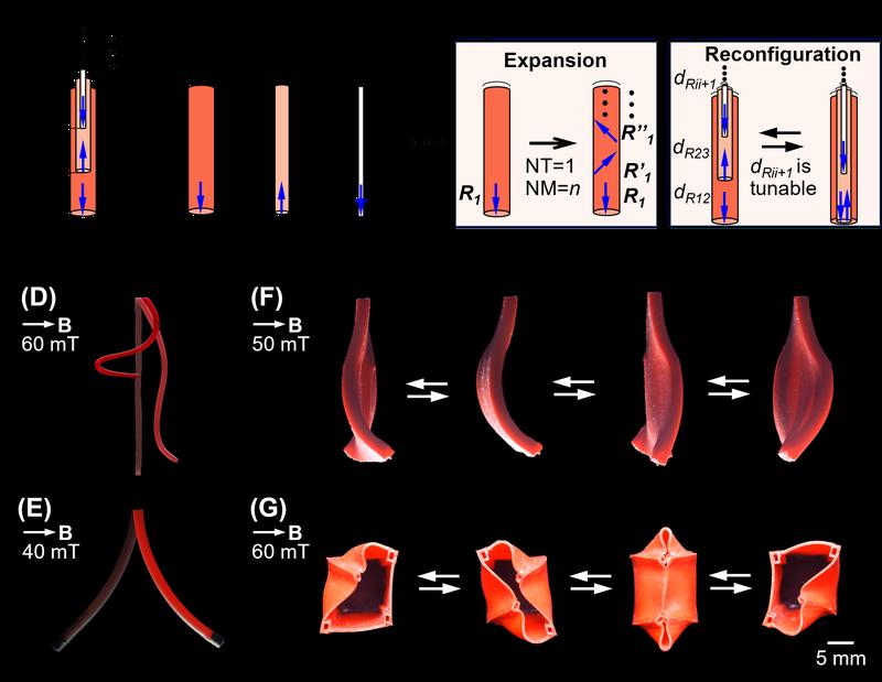 Roboter wie Matroschka-Puppen – Forscher entwickeln wandelbare Maschinen