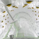 Fast eine Meile unter der Erdoberfläche, abgeschirmt von kosmischer Strahlung, stehen in South Dakota zwei ineinander geschachtelte Titan-Tanks mit zehn Tonnen flüssigem Xenon - und warten auf schwach wechselwirkende Teilchen (WIMPs).
