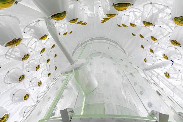 Physiker ziehen das Netz um die Dunkle Materie enger